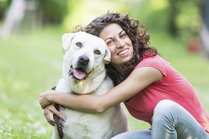 Who gets the Dog in a Divorce?