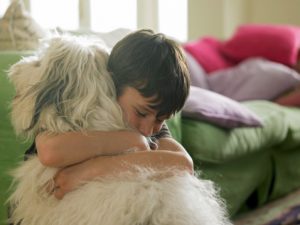 Pets Are People Too  At Least, That’s What Alaska’s Divorce Courts Say