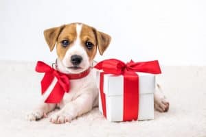 “It Was a Gift!” Understanding Asset Division in Tennessee Divorce